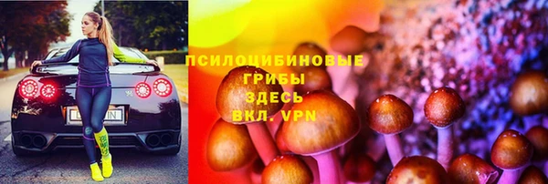 дживик Алексеевка