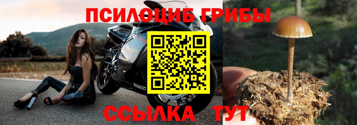 Галлюциногенные грибы MAGIC MUSHROOMS  Вход с VPN  Татарск 